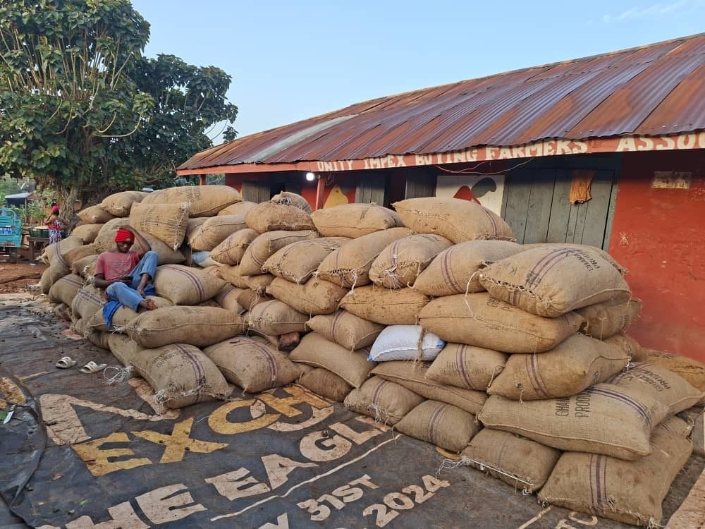 Bulk Storage