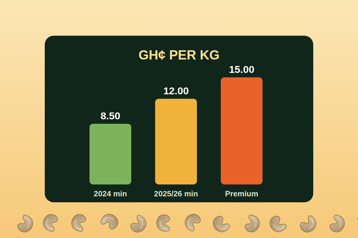 How The Cashew Price Is Set In Ghana