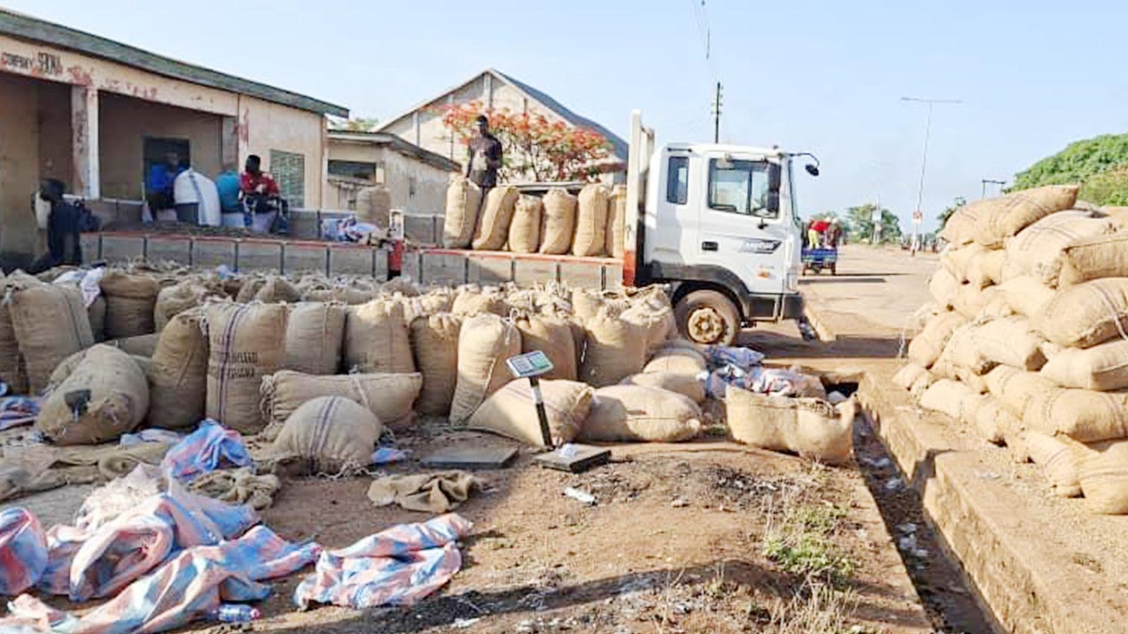 Raw Cashew Buying
