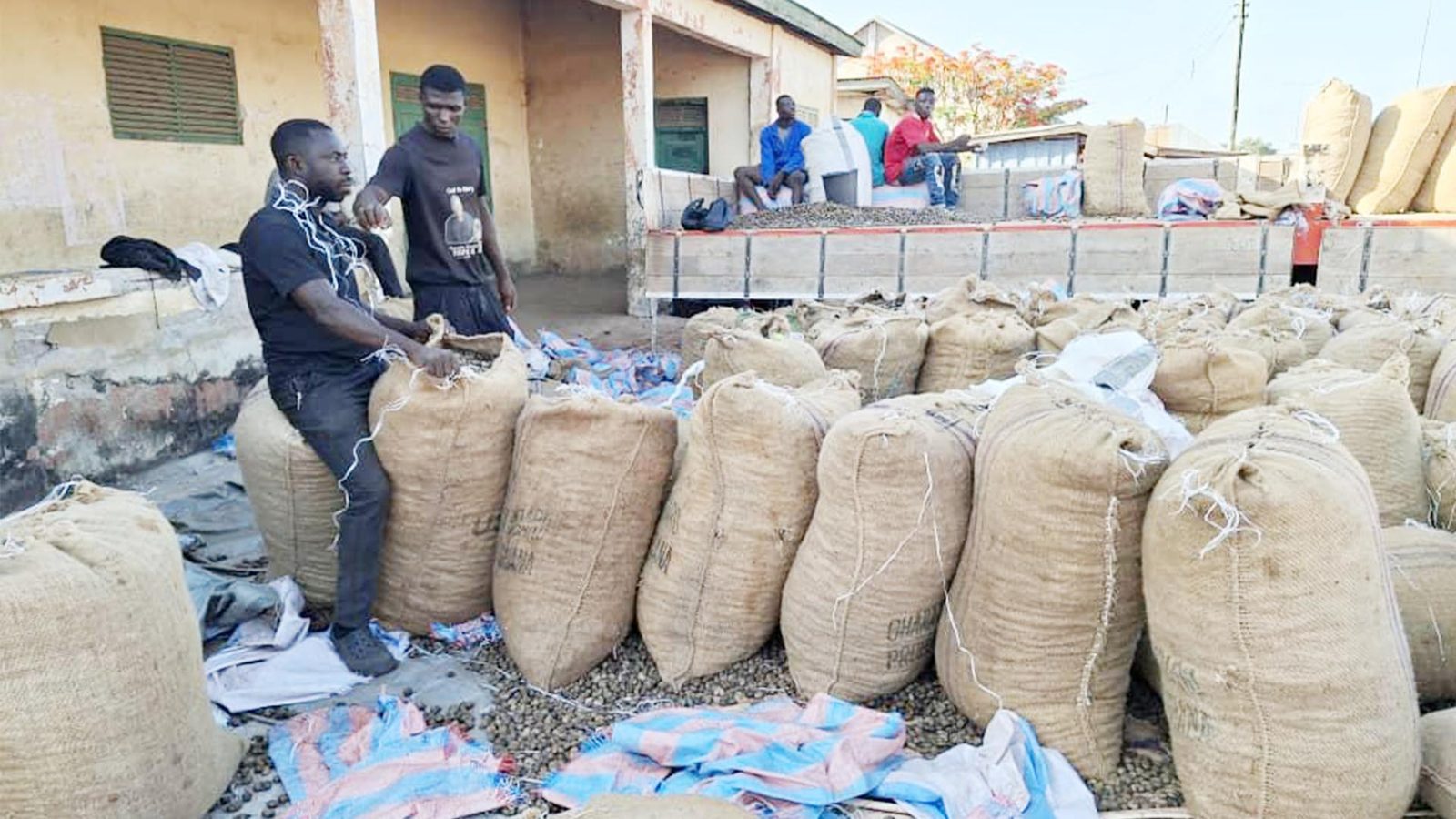 Bagged raw cashew ready for loading